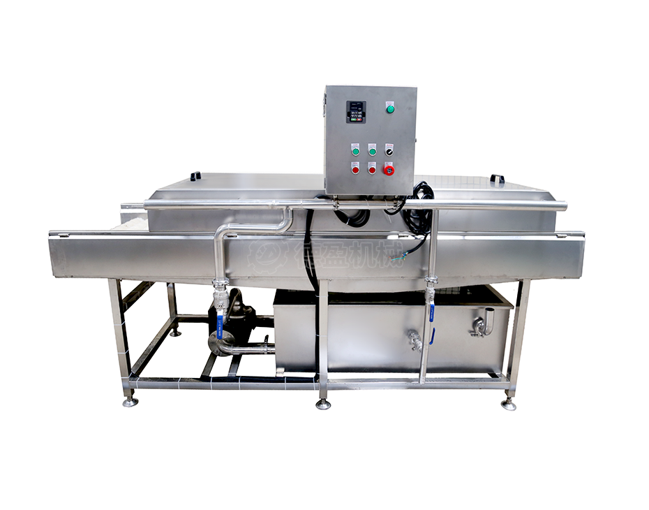 紅棗、水果清洗機(jī) DY-M250